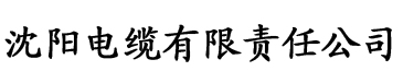 丝袜系列全集大全目录文章电缆厂logo